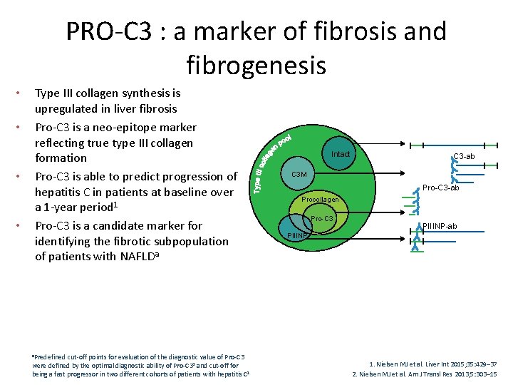 PRO-C 3 : a marker of fibrosis and fibrogenesis • • Type III collagen