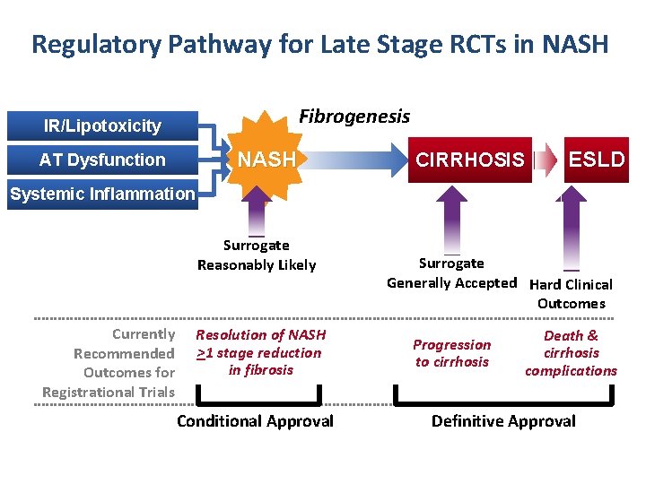 Regulatory Pathway for Late Stage RCTs in NASH Fibrogenesis IR/Lipotoxicity NASH AT Dysfunction CIRRHOSIS