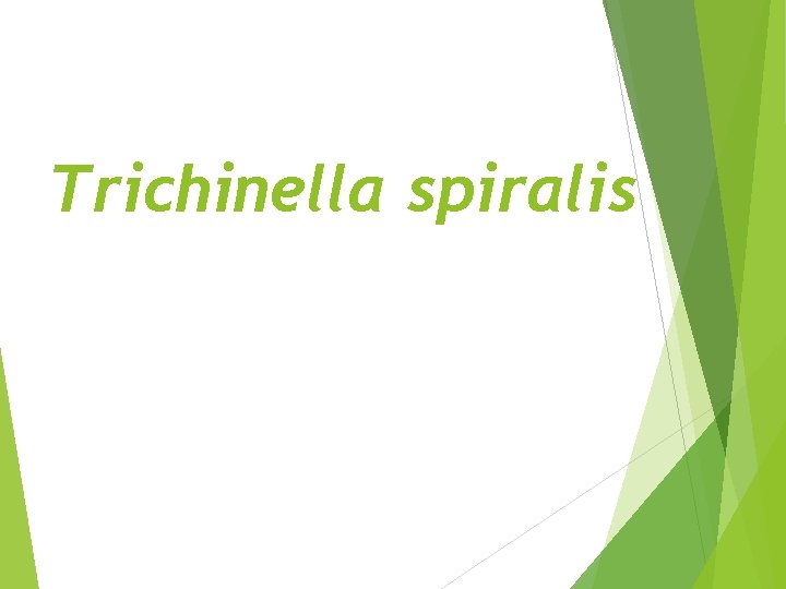 Trichinella spiralis 