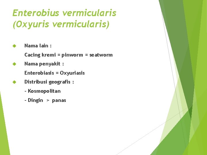 Enterobius vermicularis (Oxyuris vermicularis) Nama lain : Cacing kremi = pinworm = seatworm Nama