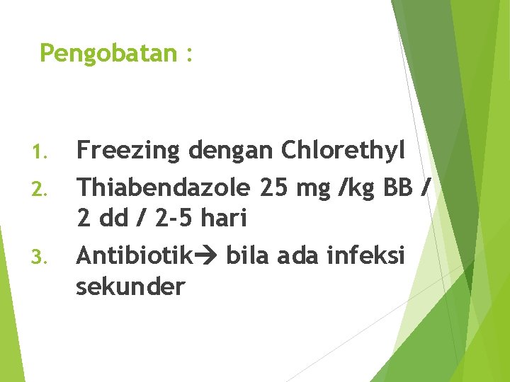 Pengobatan : 1. 2. 3. Freezing dengan Chlorethyl Thiabendazole 25 mg /kg BB /