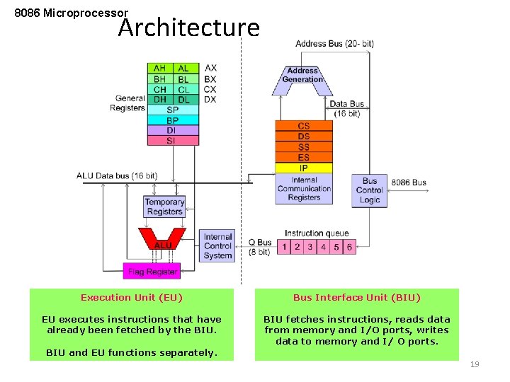 8086 Microprocessor Architecture Execution Unit (EU) Bus Interface Unit (BIU) EU executes instructions that