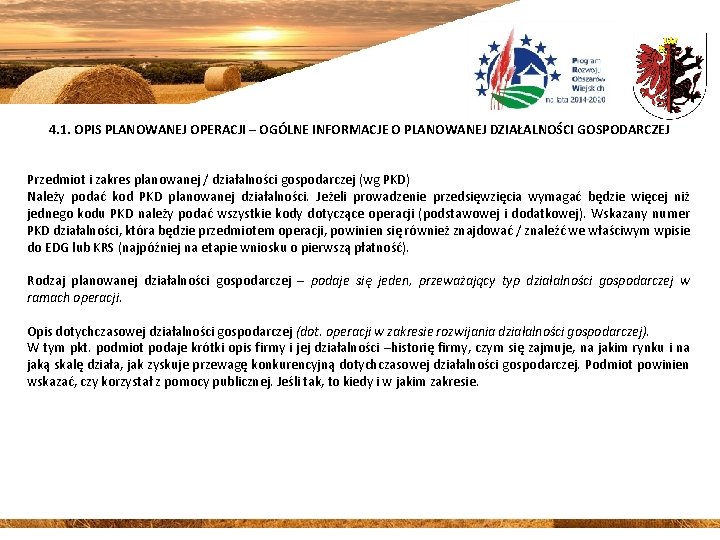 4. 1. OPIS PLANOWANEJ OPERACJI – OGÓLNE INFORMACJE O PLANOWANEJ DZIAŁALNOŚCI GOSPODARCZEJ Przedmiot i