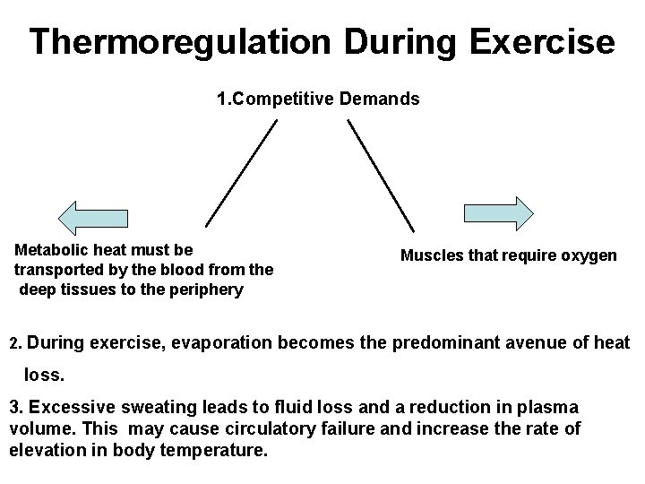 Thermoregulation During Exercise 1. Competitive Demands Metabolic heat must be transported by the blood