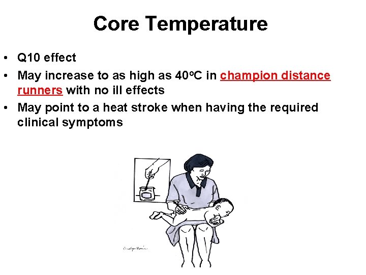 Core Temperature • Q 10 effect • May increase to as high as 40