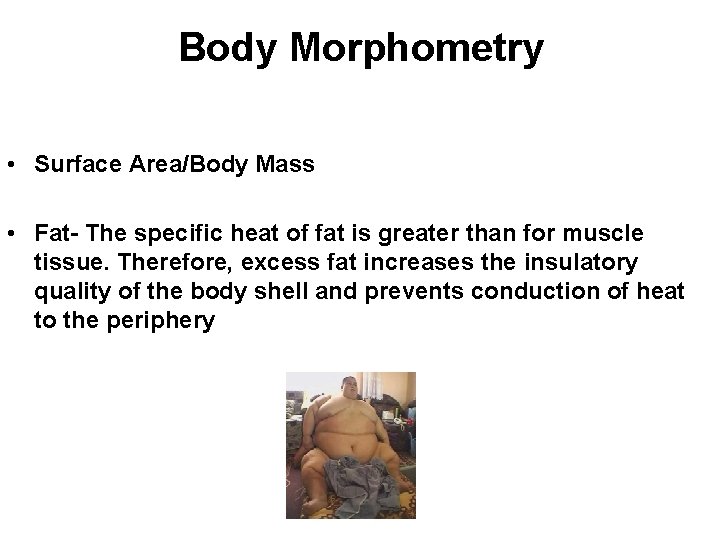 Body Morphometry • Surface Area/Body Mass • Fat- The specific heat of fat is