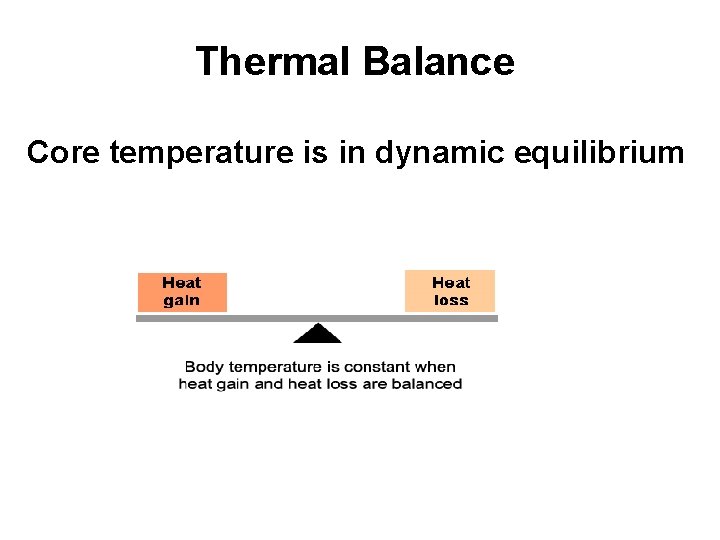 Thermal Balance Core temperature is in dynamic equilibrium 