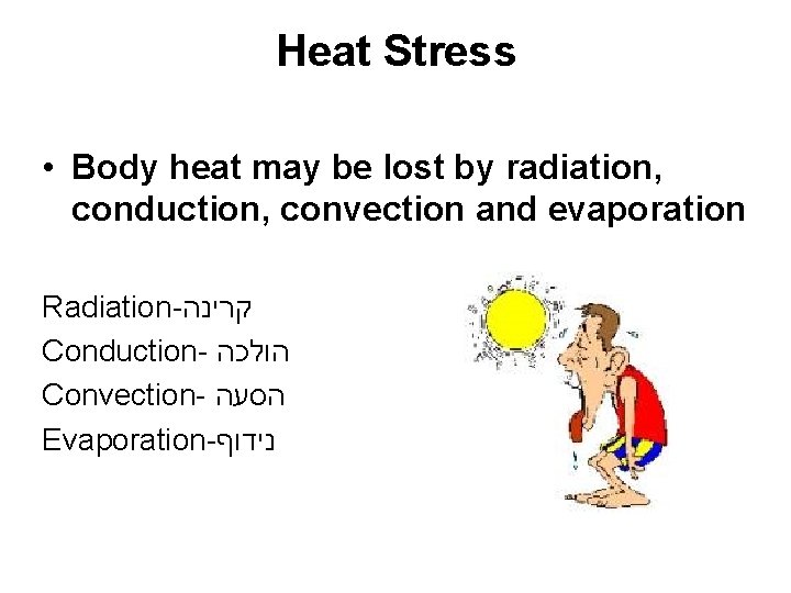 Heat Stress • Body heat may be lost by radiation, conduction, convection and evaporation