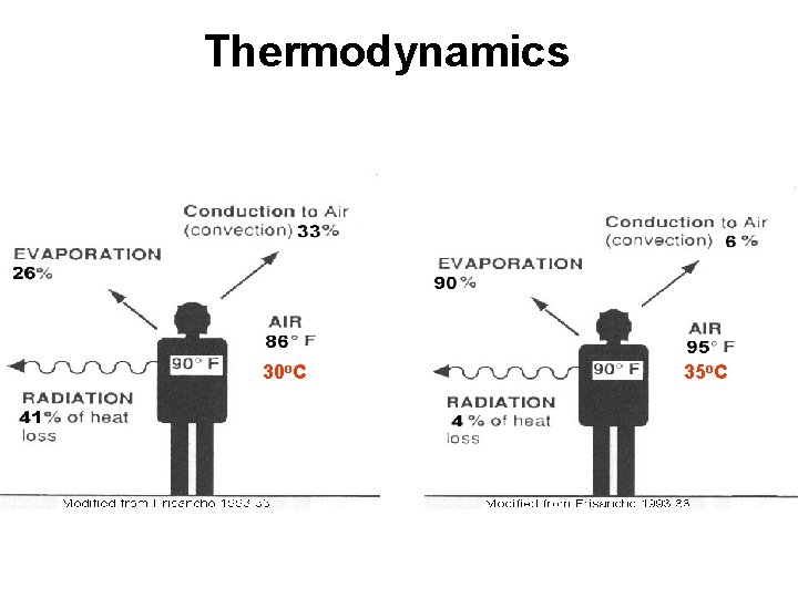 Thermodynamics 30 o. C 35 o. C 