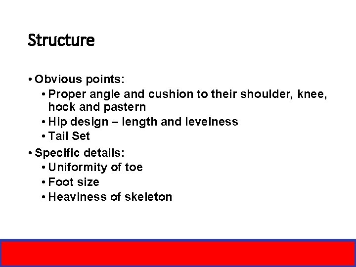 Structure • Obvious points: • Proper angle and cushion to their shoulder, knee, hock