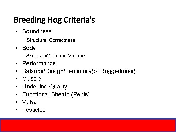 Breeding Hog Criteria's • Soundness -Structural Correctness • Body -Skeletal Width and Volume •