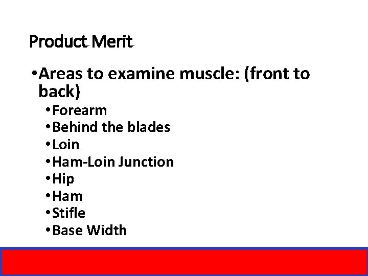 Product Merit • Areas to examine muscle: (front to back) • Forearm • Behind