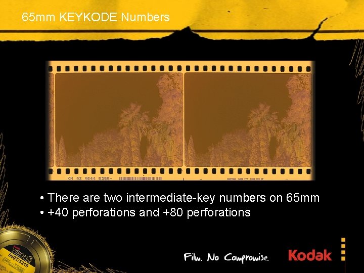 65 mm KEYKODE Numbers • There are two intermediate-key numbers on 65 mm •