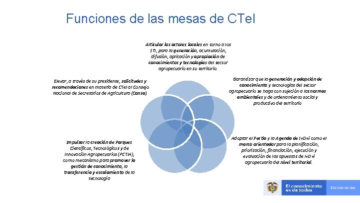 Funciones de las mesas de CTe. I Articular los actores locales en torno a