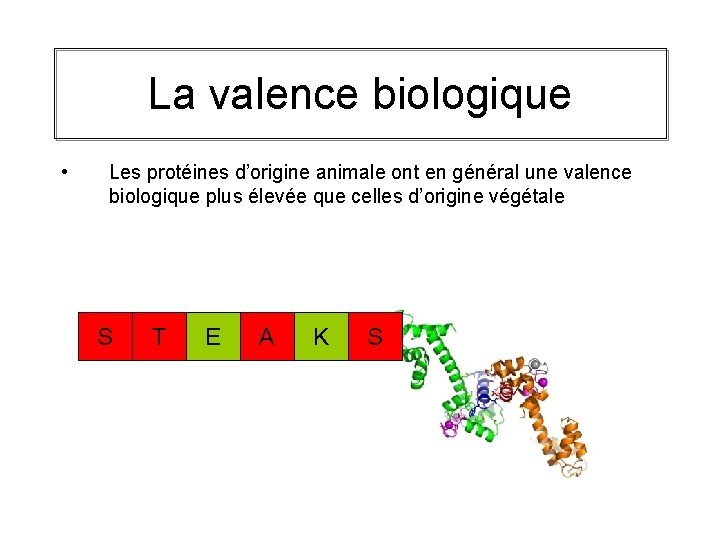 La valence biologique • Les protéines d’origine animale ont en général une valence biologique