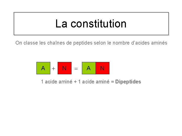 La constitution On classe les chaînes de peptides selon le nombre d’acides aminés A