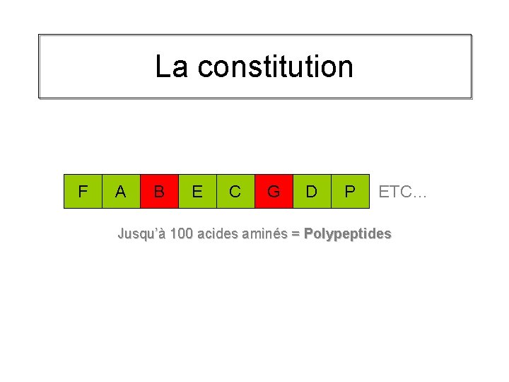 La constitution F A B E C G D P ETC… Jusqu’à 100 acides