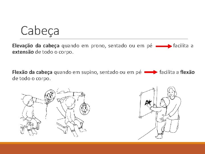 Cabeça Elevação da cabeça quando em prono, sentado ou em pé extensão de todo