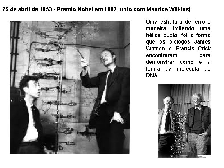 25 de abril de 1953 - Prêmio Nobel em 1962 junto com Maurice Wilkins)