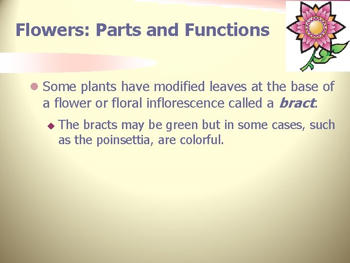Flowers: Parts and Functions l Some plants have modified leaves at the base of