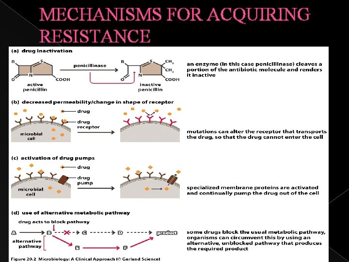 MECHANISMS FOR ACQUIRING RESISTANCE 