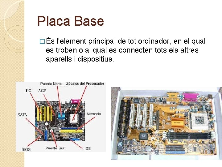 Placa Base � És l'element principal de tot ordinador, en el qual es troben