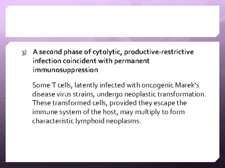 3) A second phase of cytolytic, productive-restrictive infection coincident with permanent immunosuppression Some T