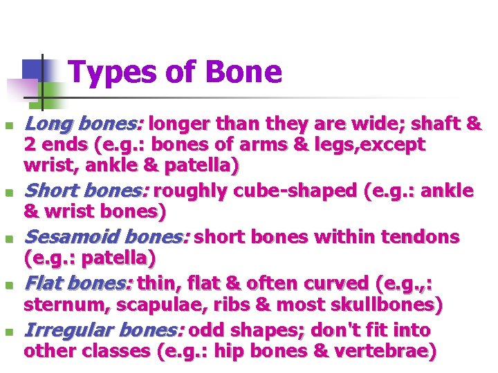 Types of Bone n n n Long bones: longer than they are wide; shaft