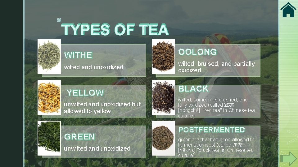z TYPES OF TEA WITHE OOLONG wilted and unoxidized wilted, bruised, and partially oxidized