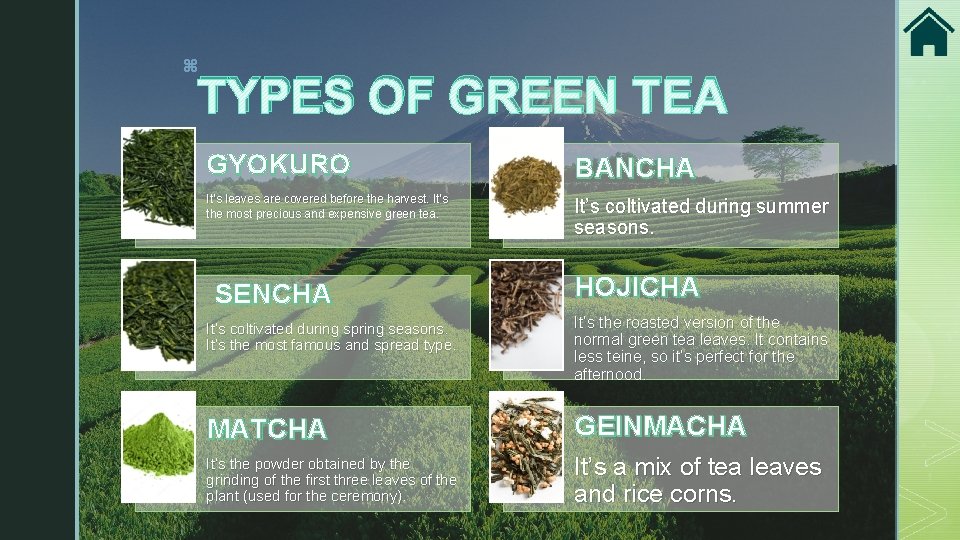 z TYPES OF GREEN TEA GYOKURO BANCHA It’s leaves are covered before the harvest.