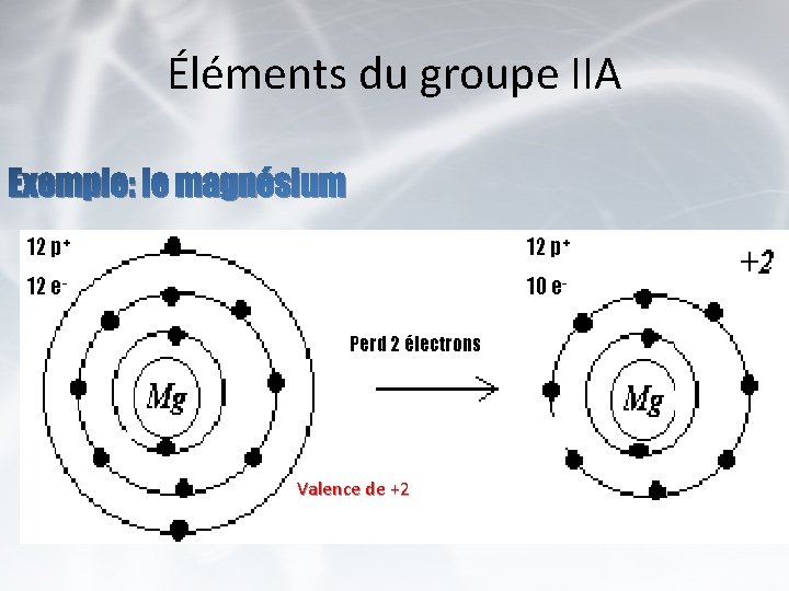 Éléments du groupe IIA Exemple: le magnésium 12 p+ 12 e- 10 e. Perd