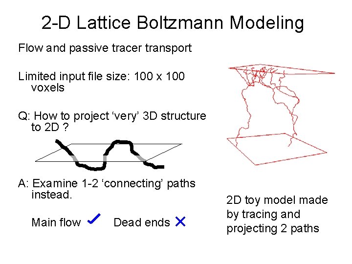2 -D Lattice Boltzmann Modeling Flow and passive tracer transport Limited input file size: