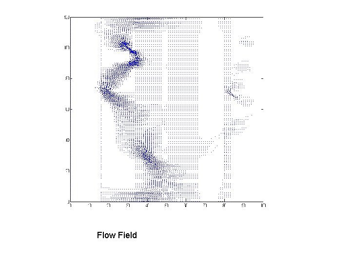 Flow Field 