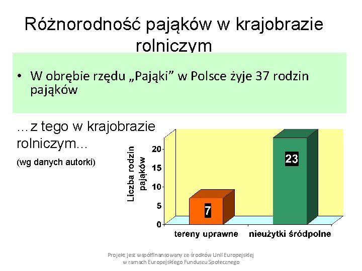 Różnorodność pająków w krajobrazie rolniczym • W obrębie rzędu „Pająki” w Polsce żyje 37