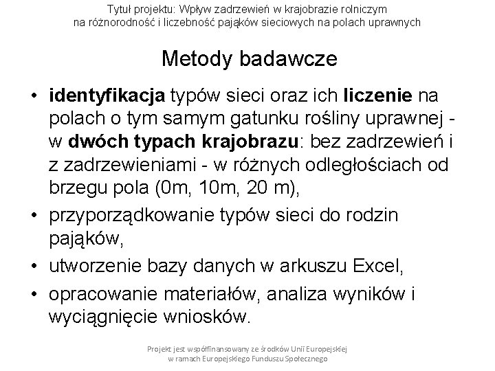 Tytuł projektu: Wpływ zadrzewień w krajobrazie rolniczym na różnorodność i liczebność pająków sieciowych na