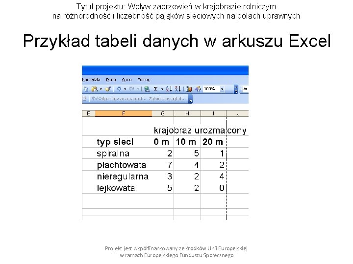 Tytuł projektu: Wpływ zadrzewień w krajobrazie rolniczym na różnorodność i liczebność pająków sieciowych na