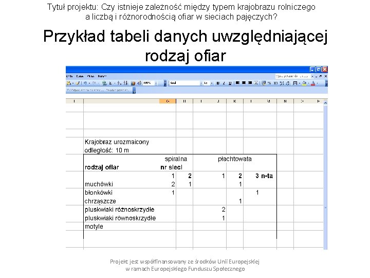 Tytuł projektu: Czy istnieje zależność między typem krajobrazu rolniczego a liczbą i różnorodnością ofiar