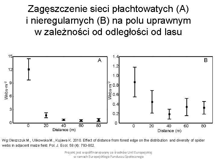 Zagęszczenie sieci płachtowatych (A) i nieregularnych (B) na polu uprawnym w zależności od odległości