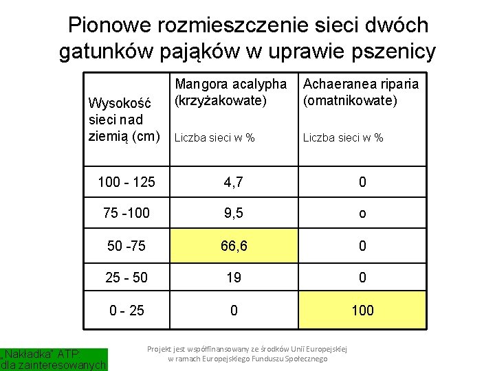 Pionowe rozmieszczenie sieci dwóch gatunków pająków w uprawie pszenicy Wysokość sieci nad ziemią (cm)