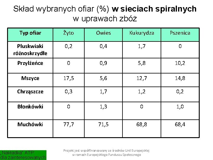 Skład wybranych ofiar (%) w sieciach spiralnych w uprawach zbóż Typ ofiar Żyto Owies