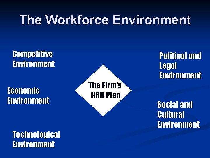 The Workforce Environment Competitive Environment Economic Environment Technological Environment The Firm’s HRD Plan Political