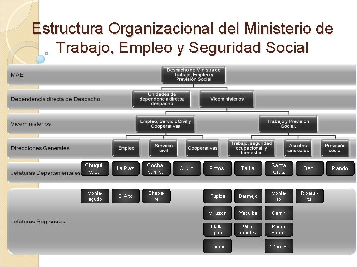 Estructura Organizacional del Ministerio de Trabajo, Empleo y Seguridad Social Chuquisaca La Paz Cochabamba