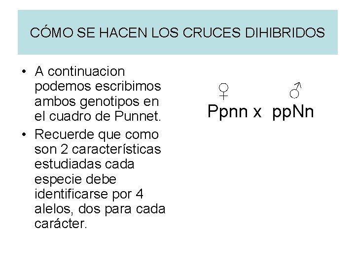 CÓMO SE HACEN LOS CRUCES DIHIBRIDOS • A continuacion podemos escribimos ambos genotipos en