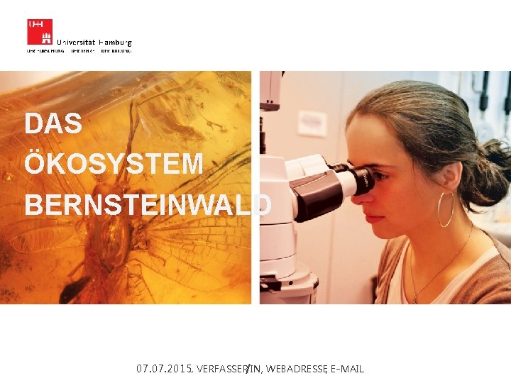 DAS ÖKOSYSTEM BERNSTEINWALD v , WEBADRESSE, E-MAIL 07. 2015 , VERFASSER/IN 