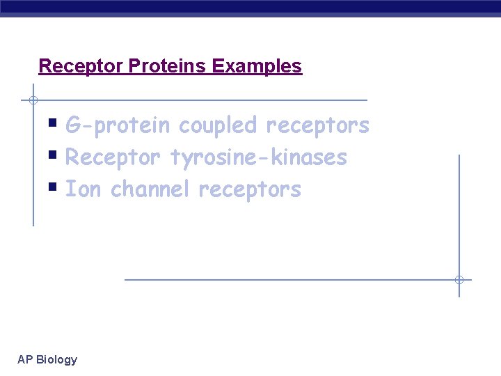 Receptor Proteins Examples § G-protein coupled receptors § Receptor tyrosine-kinases § Ion channel receptors