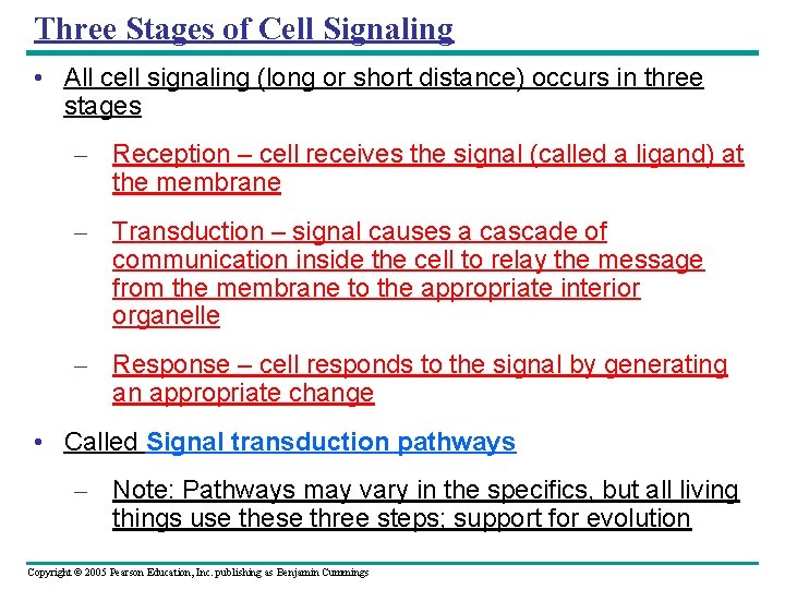Three Stages of Cell Signaling • All cell signaling (long or short distance) occurs