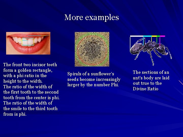 More examples The front two incisor teeth form a golden rectangle, with a phi