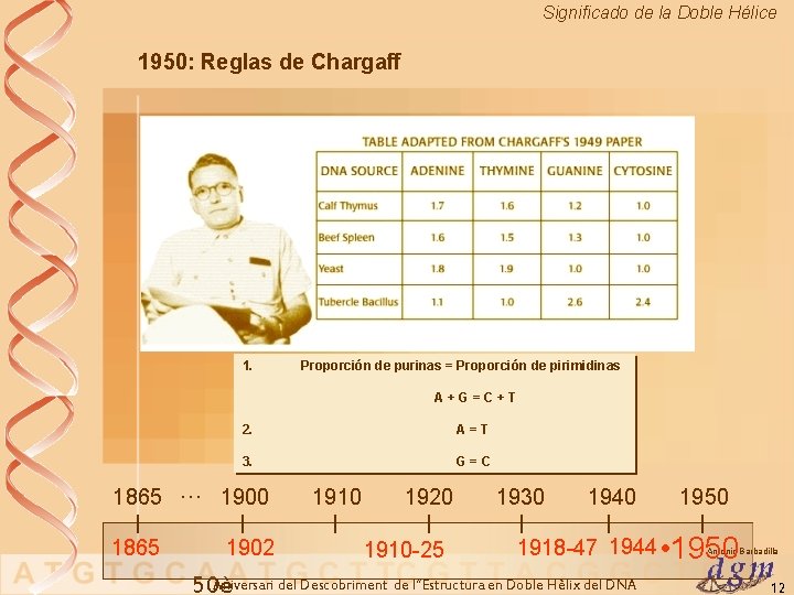 Significado de la Doble Hélice 1950: Reglas de Chargaff 1. Proporción de purinas =
