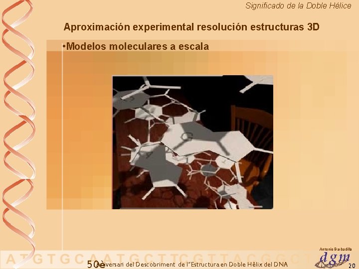 Significado de la Doble Hélice Aproximación experimental resolución estructuras 3 D • Modelos moleculares