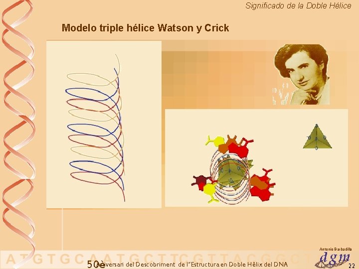 Significado de la Doble Hélice Modelo triple hélice Watson y Crick Antonio Barbadilla Aniversari